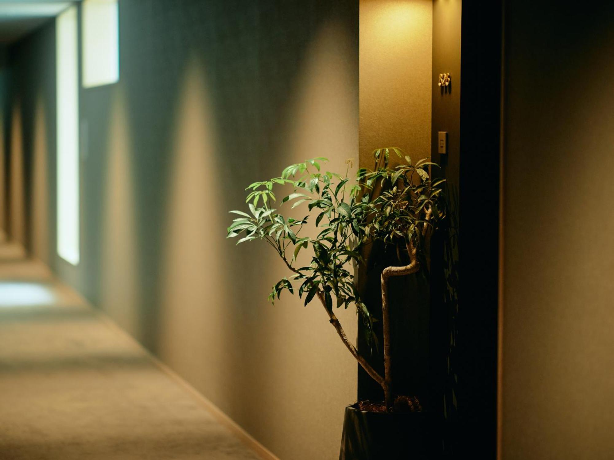 Good Nature Hotel Kyoto Kamer foto A corridor in a hotel