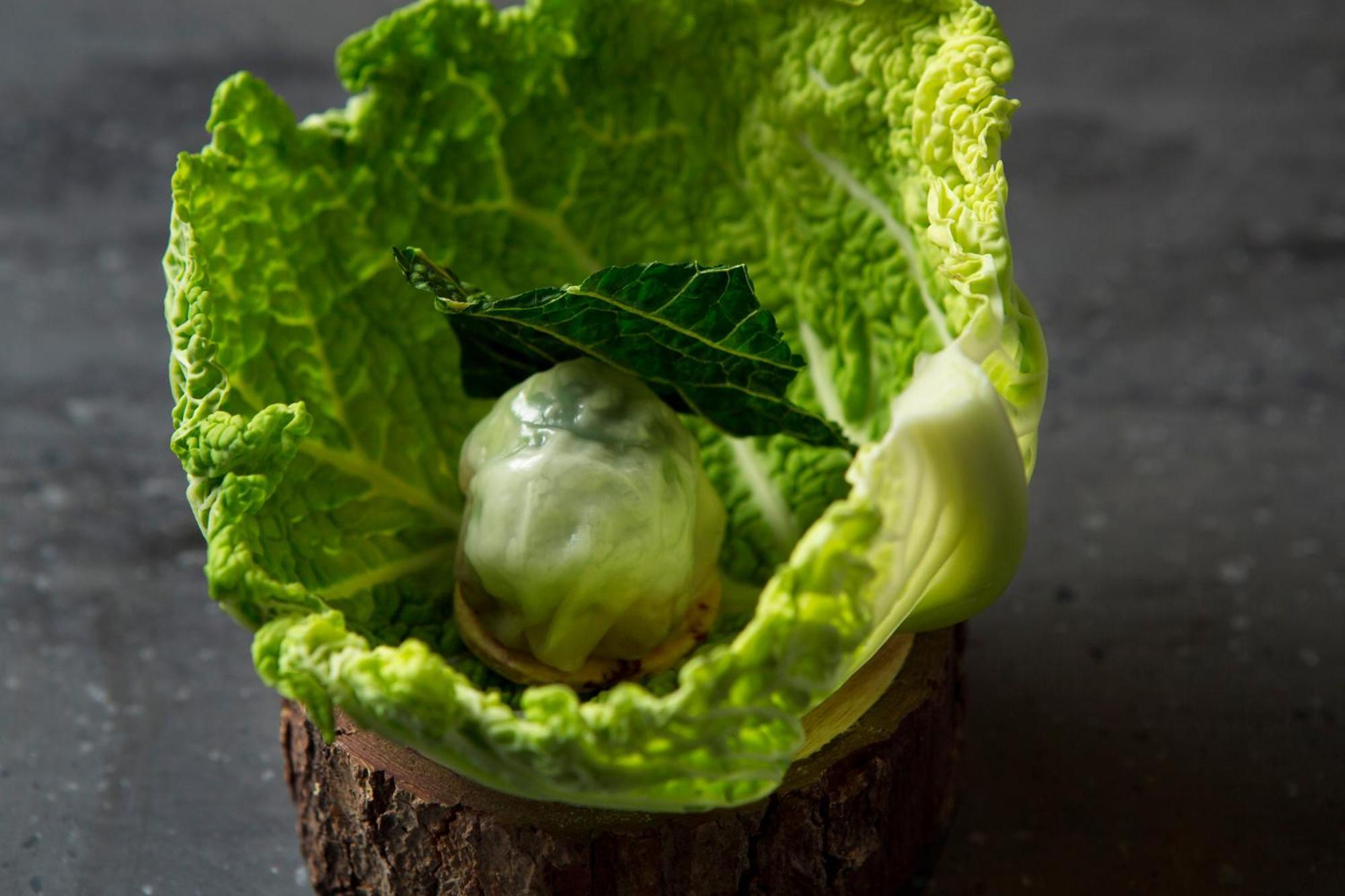 Good Nature Hotel Kyoto Buitenkant foto A cabbage leaf with a ball of ice